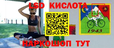 шишки Долгопрудный