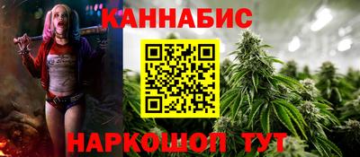 шишки Долгопрудный