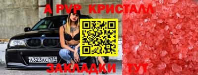 шишки Долгопрудный