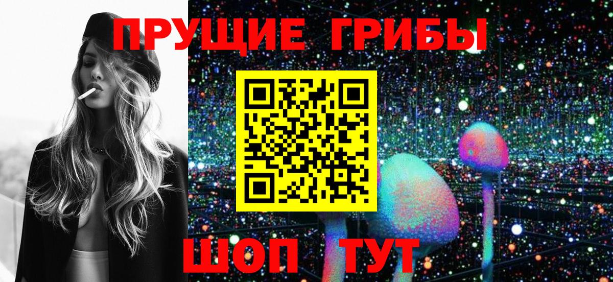 Галлюциногенные грибы Cubensis Протвино