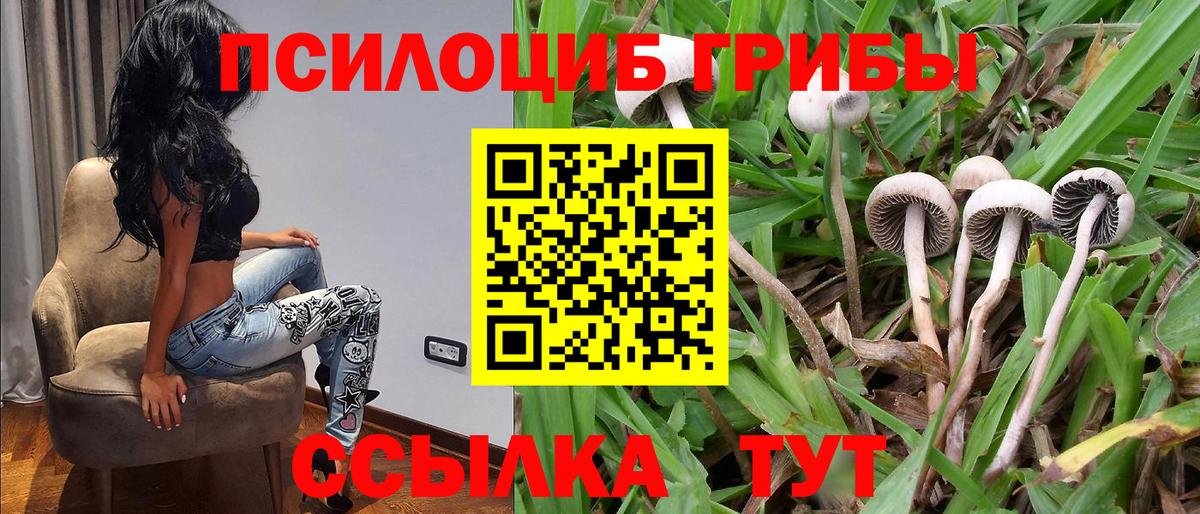 Протвино  Галлюциногенные грибы ЛСД  Вход с VPN  Псилоцибиновые грибы Psilocybe 